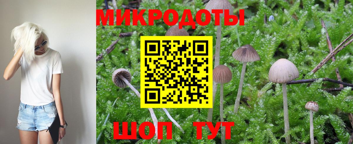 Псилоцибиновые грибы Magic Shrooms Камышлов